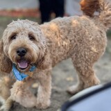 Entry image for Molly Elle