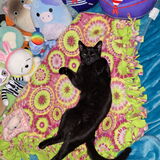 Entry image for Maxwell Peel