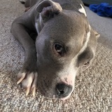 Entry image for Fenny