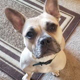 Entry image for Basil Hayden