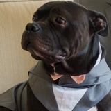 Entry image for Monty