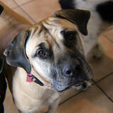 Entry image for Daisy