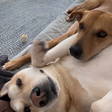 Entry image for Saddie and Lainey