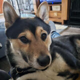 Entry image for Kenji