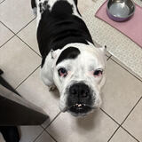 Entry image for Stormy