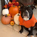 Entry image for Reggie