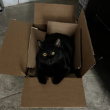 Entry image for Day Day