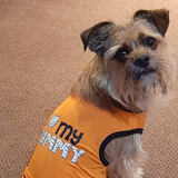 Entry image for Ollie