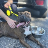 Entry image for Stephy