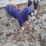 Entry image for Kira