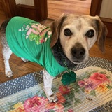 Entry image for Sweet Pea