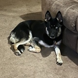 Entry image for Heidi