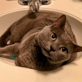 Entry image for Charlotte