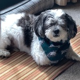 Entry image for Kuya Pansit