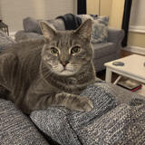 Entry image for Jack