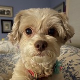 Entry image for Winnie