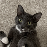 Entry image for Kiva