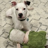 Entry image for Sully