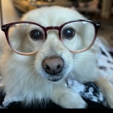 Entry image for Chanel