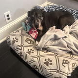 Entry image for Precious