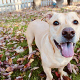 Entry image for Murphy