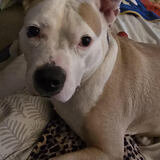 Entry image for Beauty