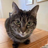 Entry image for Mabel