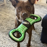 Entry image for Aries