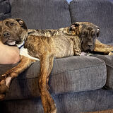 Entry image for Rhea and Woodson