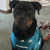 Entry image for Sage