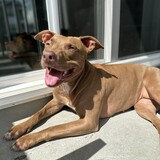 Entry image for Coco