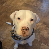 Entry image for Tessa