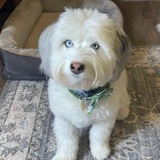 Entry image for Newman