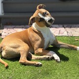 Entry image for Cleo