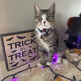 Entry image for London