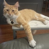 Entry image for Catrick Swazey