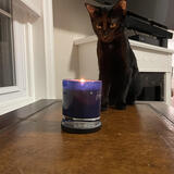 Entry image for Guinness