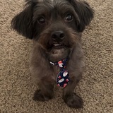 Entry image for Martin