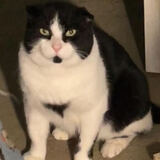 Entry image for Whiskey River