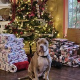 Entry image for Dunkin