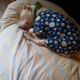 Entry image for Kenny