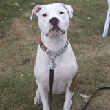 Entry image for Chaos