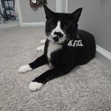 Entry image for Kelce