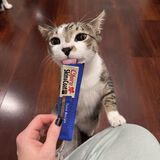 Entry image for Jameson