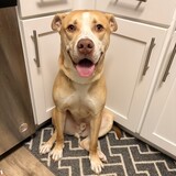 Entry image for Conan