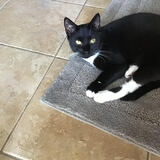 Entry image for Boosty