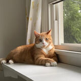 Entry image for Reggie Wright