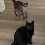 Entry image for Midnight and Twilight