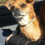 Entry image for Jesse