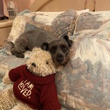 Entry image for Chloe